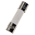 Ceramic fuse 5x20mm with metal end caps, marked 6.3.
