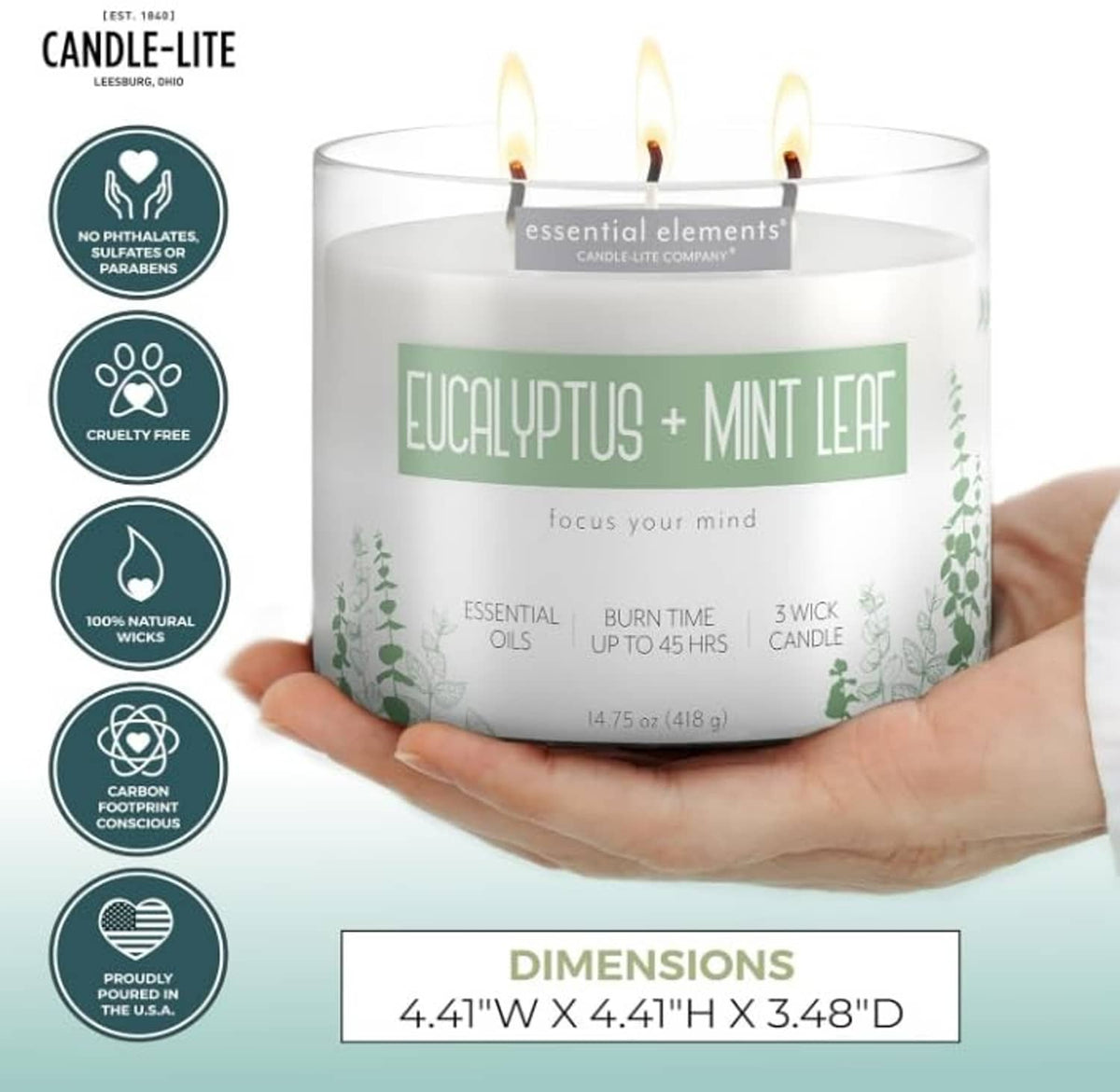 Eucalyptus mint leaf three-wick candle held in hand, white jar with green label