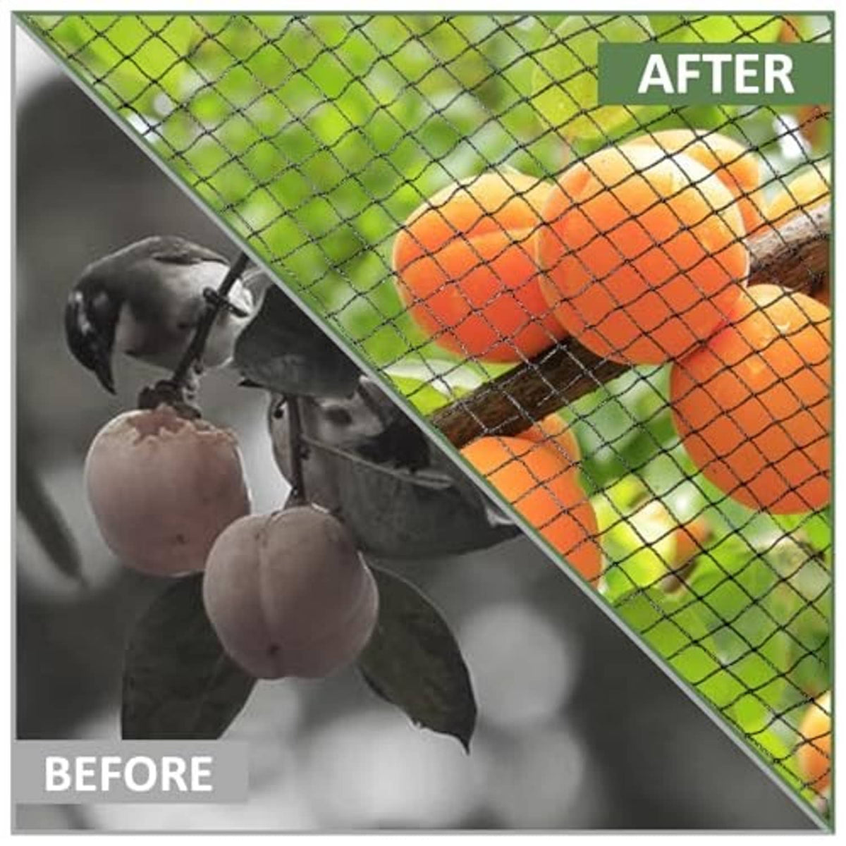 Garden netting with tight square mesh shown over fruit, before-and-after panels.