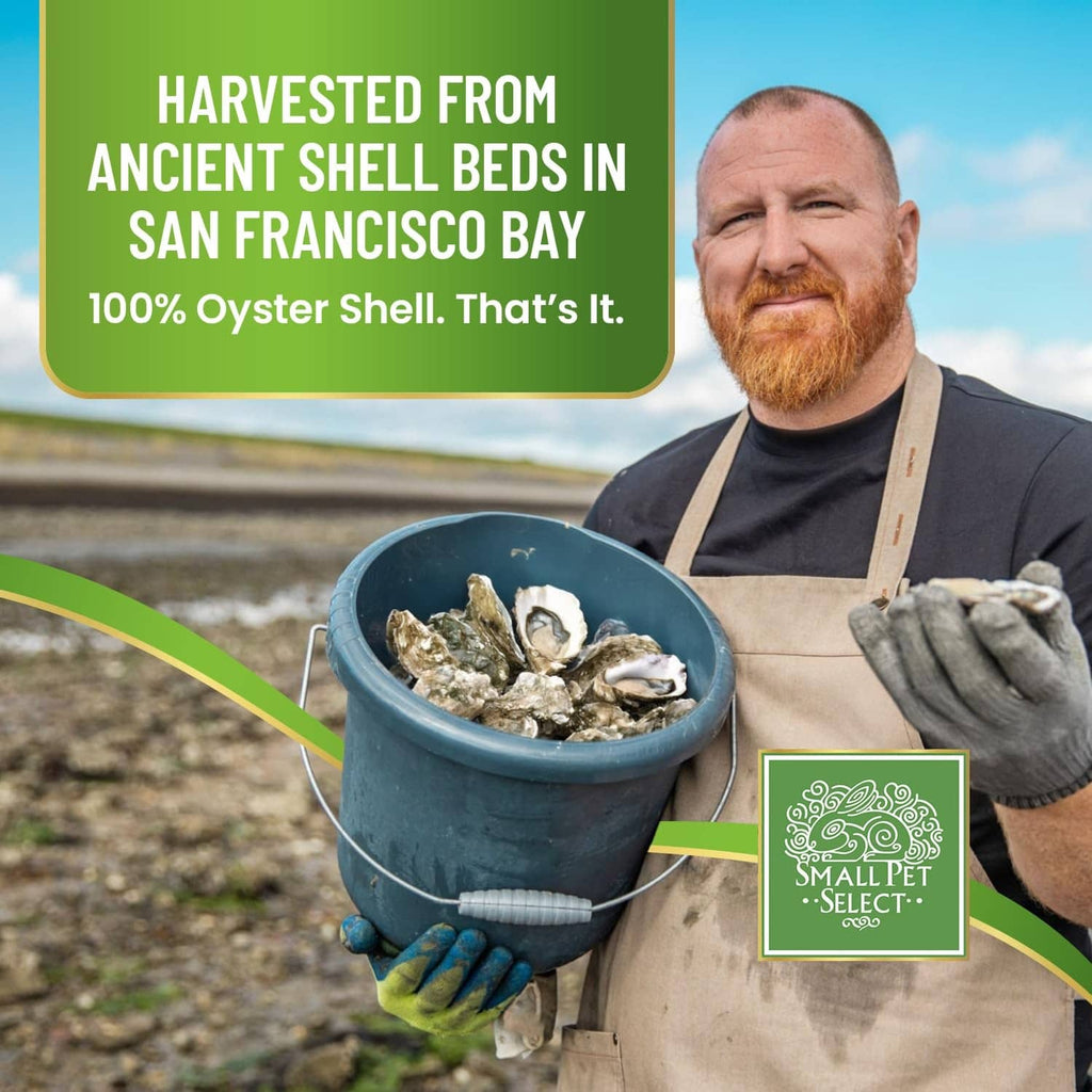 Bucket filled with white flaked oyster shell outdoors