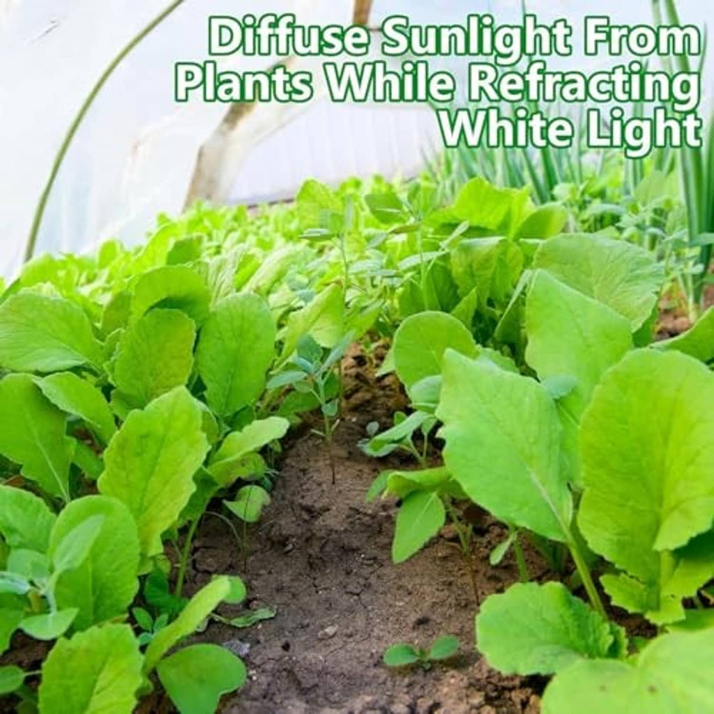White plant protection cover over seedlings, diffusing sunlight across garden