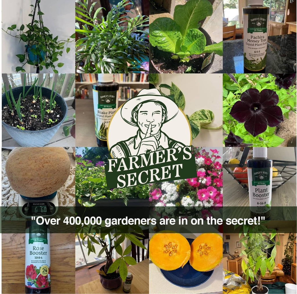 Farmer’s Secret garden collage with plant booster bottles and potted plants