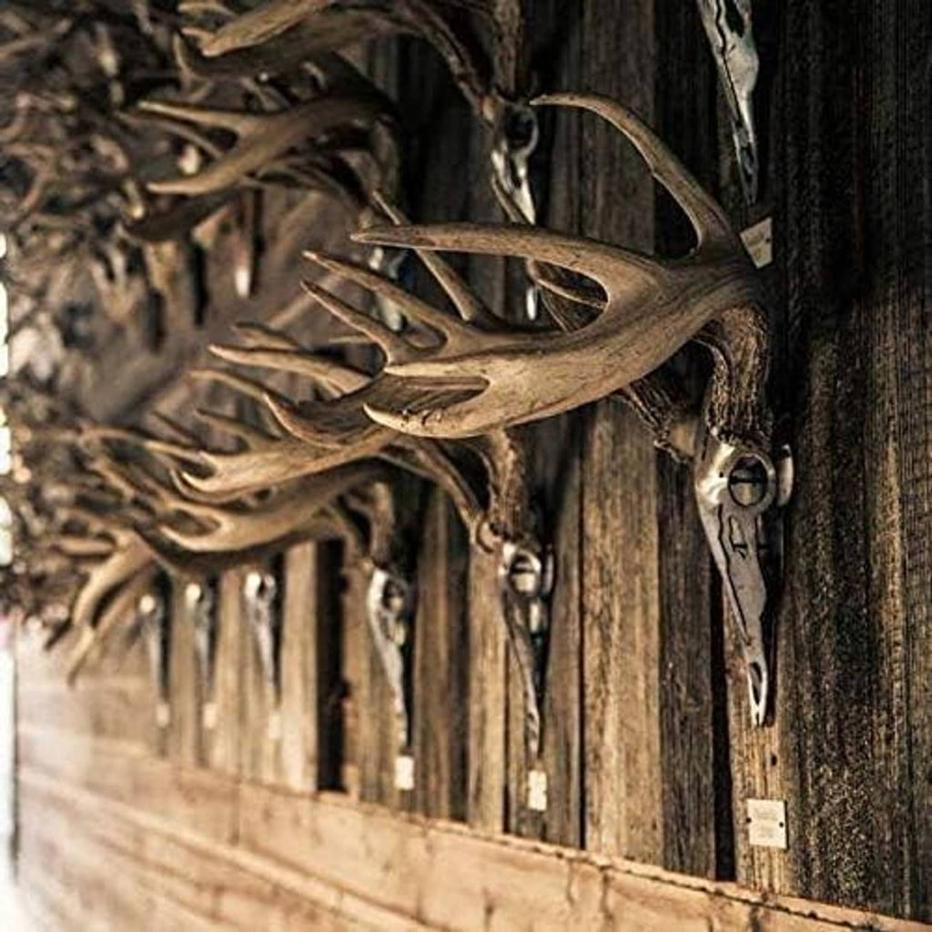 Decorative iron deer antler mounts on wooden display wall