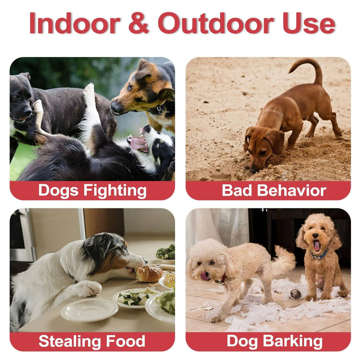 Pet spray use guide showing four dog behavior situation photos in rounded boxes.