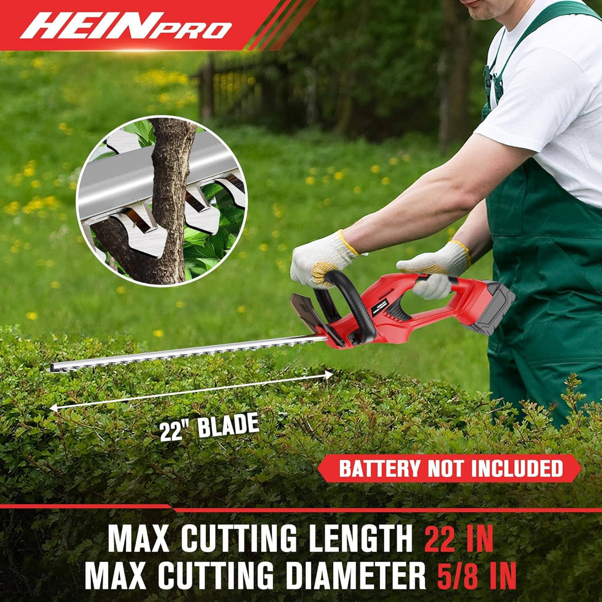 Person holding red cordless hedge trimmer while trimming shrubs with 22-inch blade