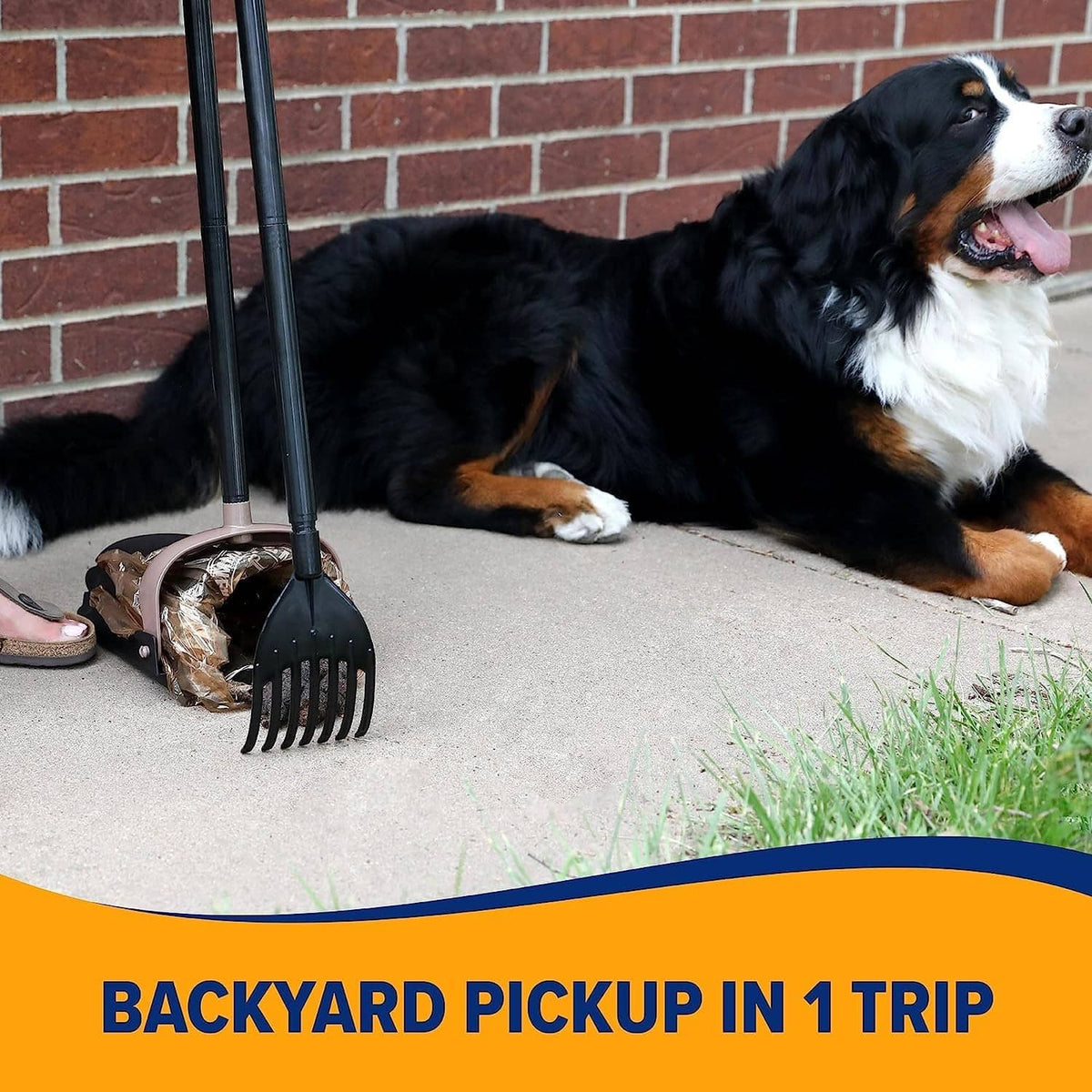 Black swivel bin and poop scoop on patio next to a dog