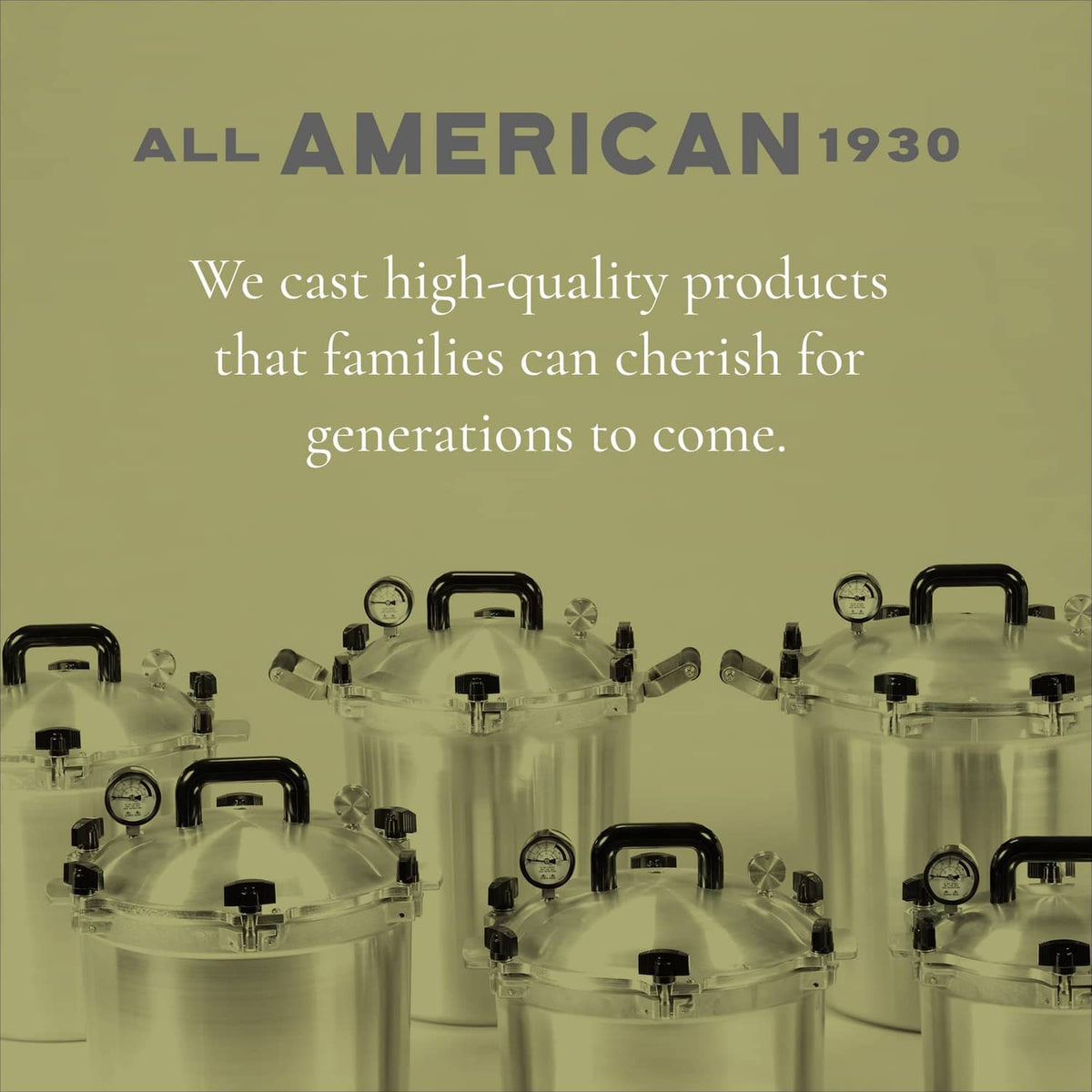 Glass-domed pressure cookers/canners lineup with regulator dials and valves
