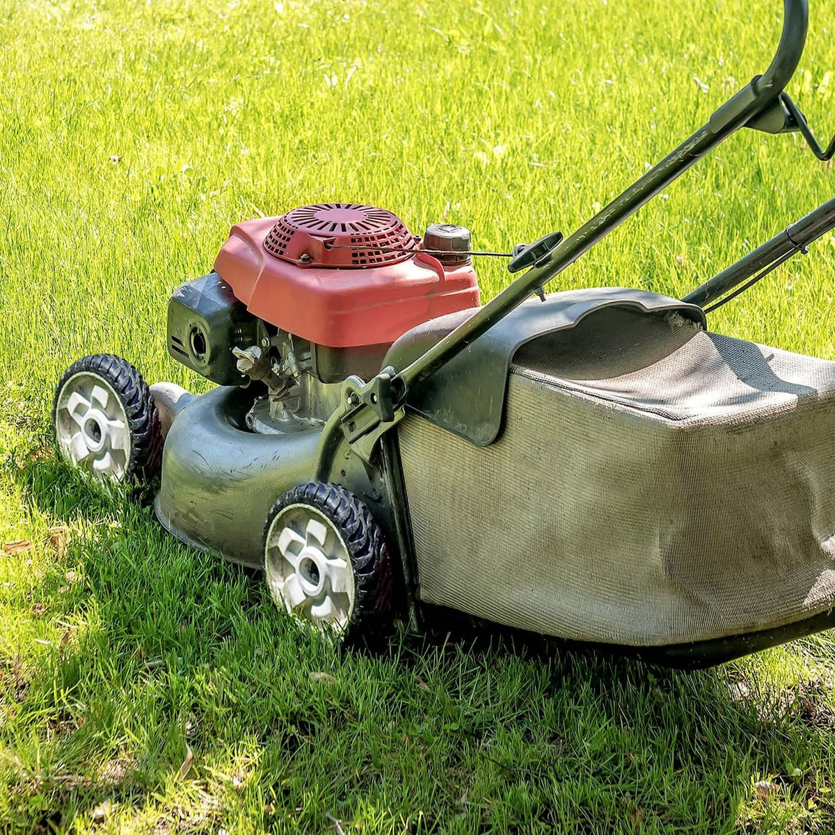 Two rear wheels installed on a gas lawn mower with black tire and white rim