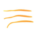 Orange floating trout worm soft bait, three segmented worm pieces