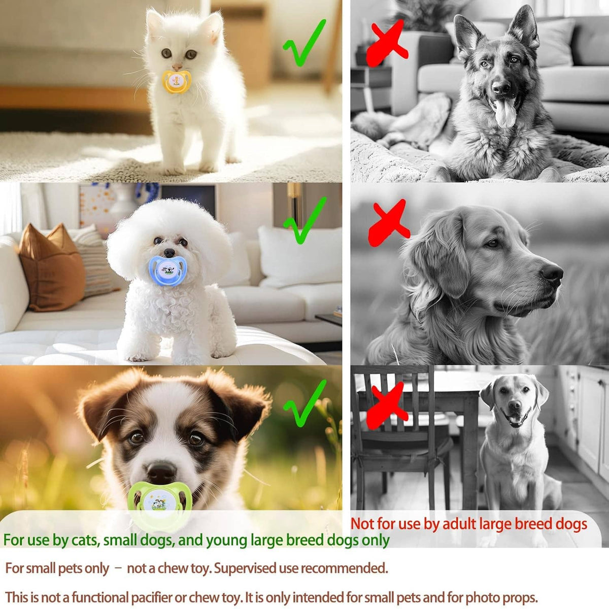 Small pet photo-prop pacifier shown on puppies and cats in a use guide collage.