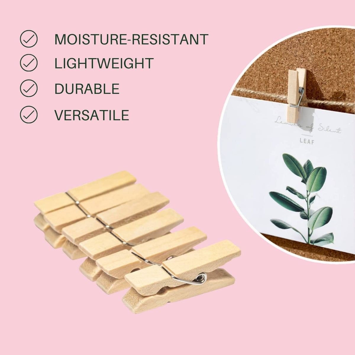 Set of natural wood mini clothespins with silver metal springs