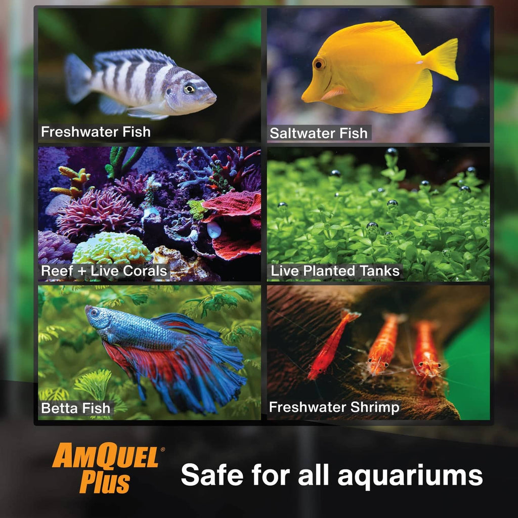 Aquarium product safety graphic with freshwater fish, saltwater fish, corals, and shrimp
