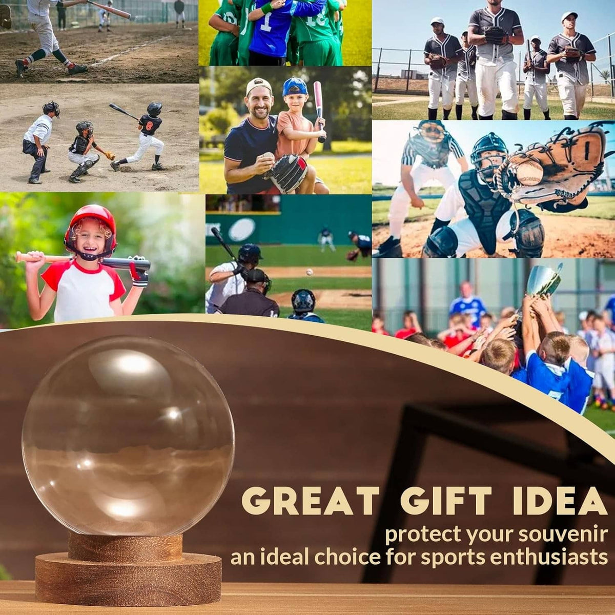 Round clear baseball display case on brown wooden base for sports souvenirs