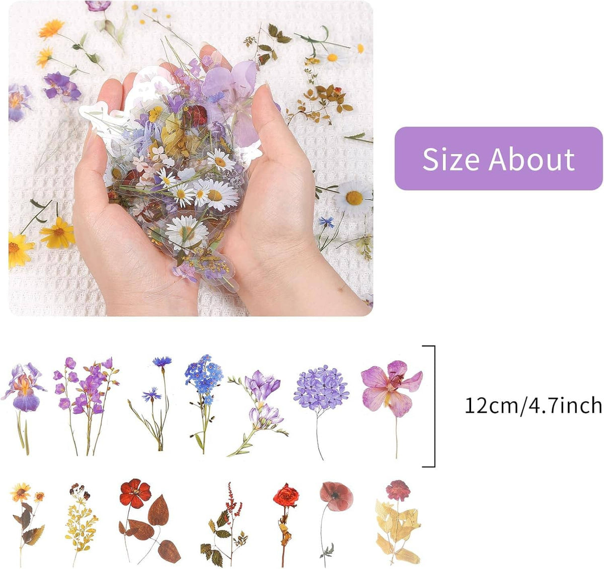 Hand holding small flower sticker pieces over a sheet; colorful pressed-bloom designs