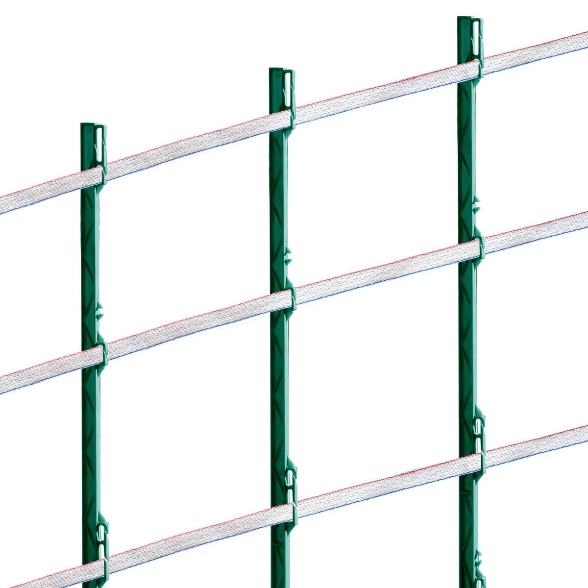 Electric fence tape clipped to green posts, red-white-blue strands across the fence