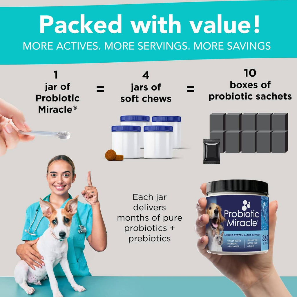 Probiotic Miracle value graphic showing jar, soft chews, and probiotic sachet amounts