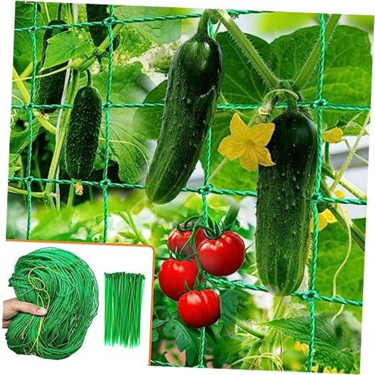 Green garden trellis netting with square grid, shown hanging for climbing cucumbers