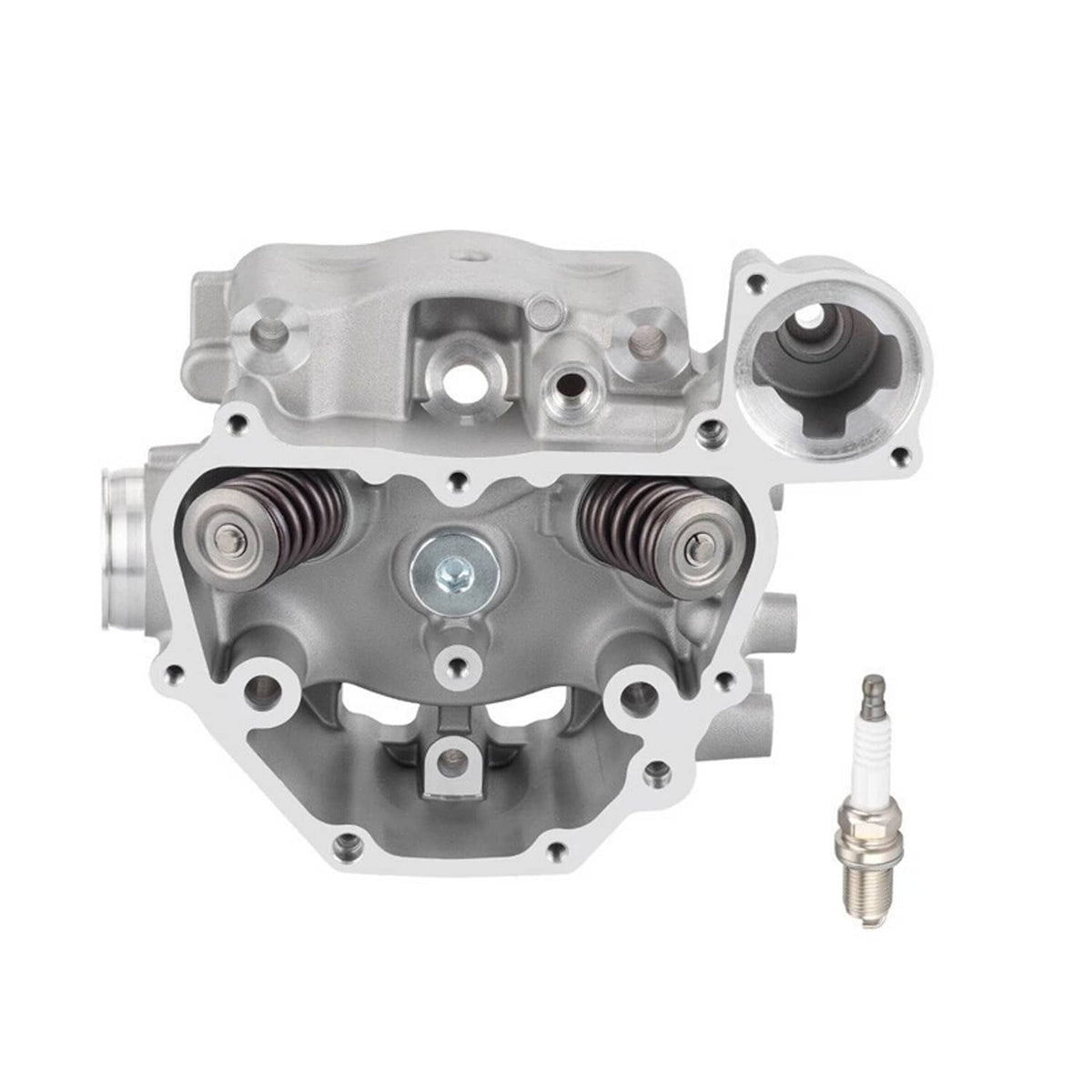 Cylinder head assembly with valve springs and spark plug