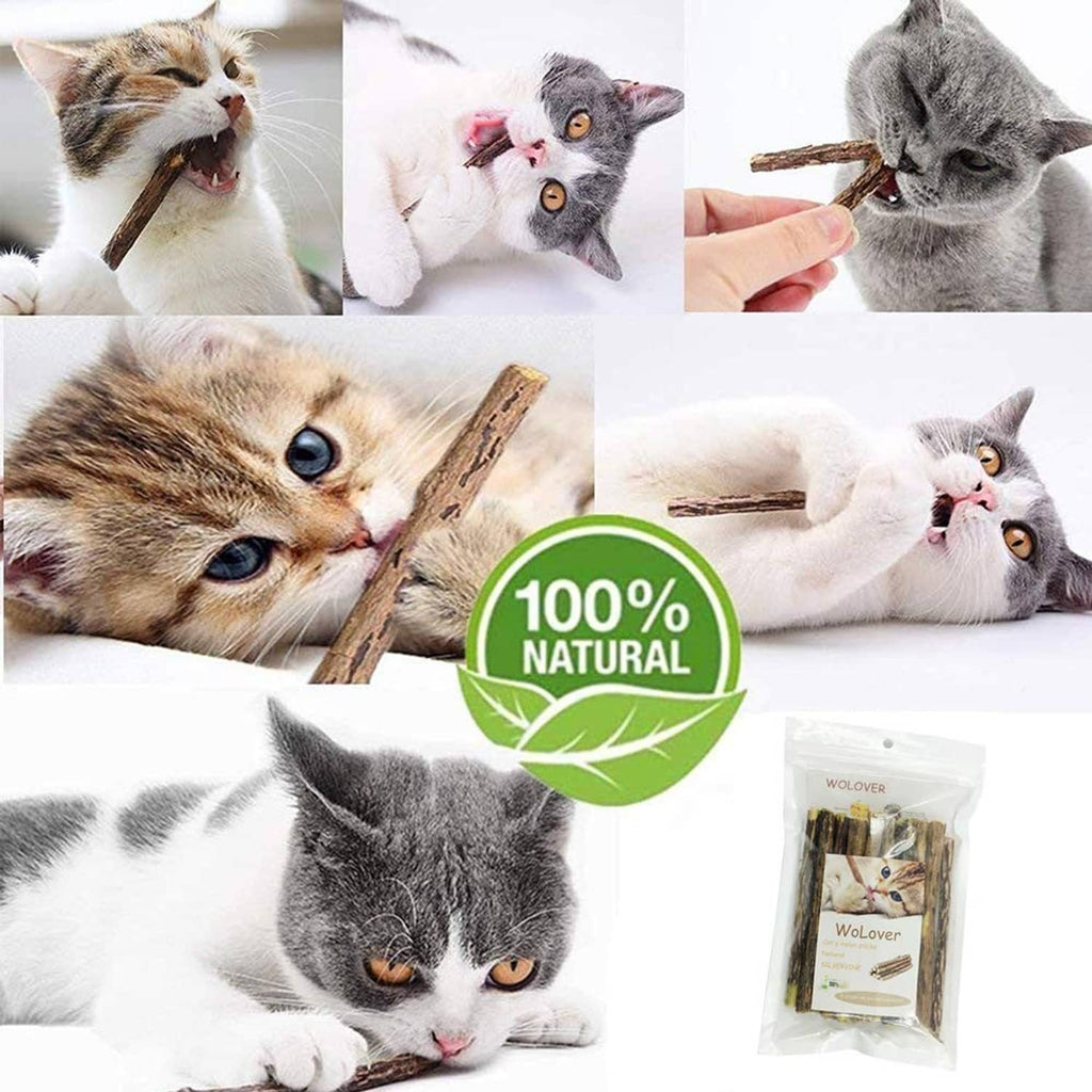 Natural cat molar stick with kittens chewing, 100% natural badge