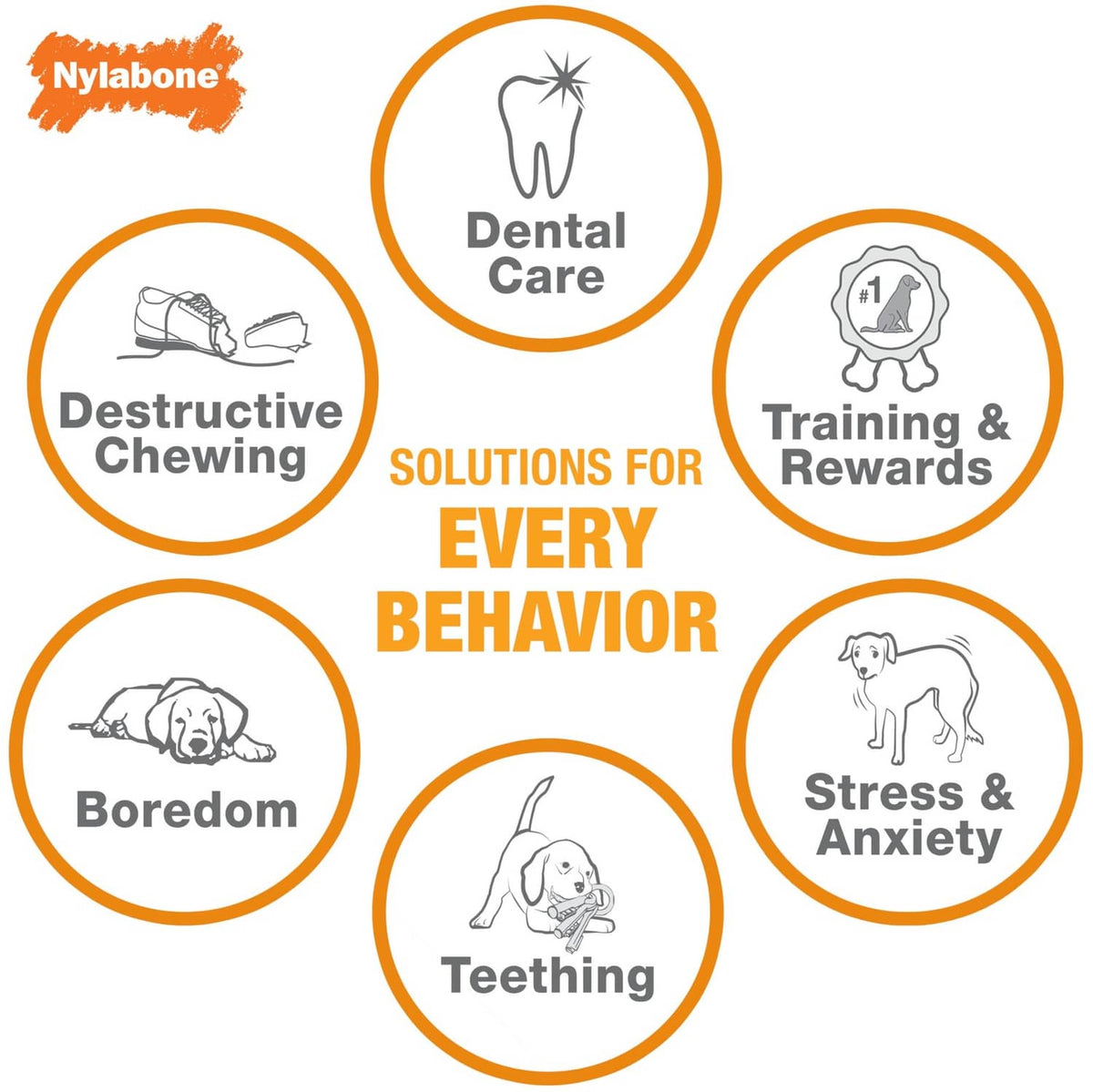 Dog behavior solutions icons infographic for dental care, destructive chewing, training rewards