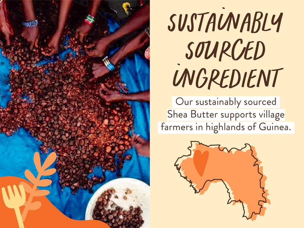 Diaper rash cream sustainably sourced ingredient infographic with cocoa beans and map outline