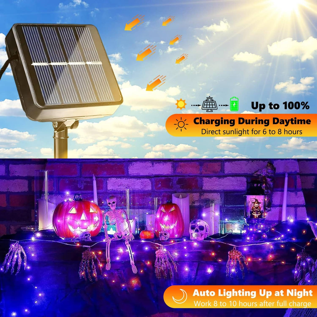 Purple and orange solar string lights with stake-mounted panels, draped along outdoor displays