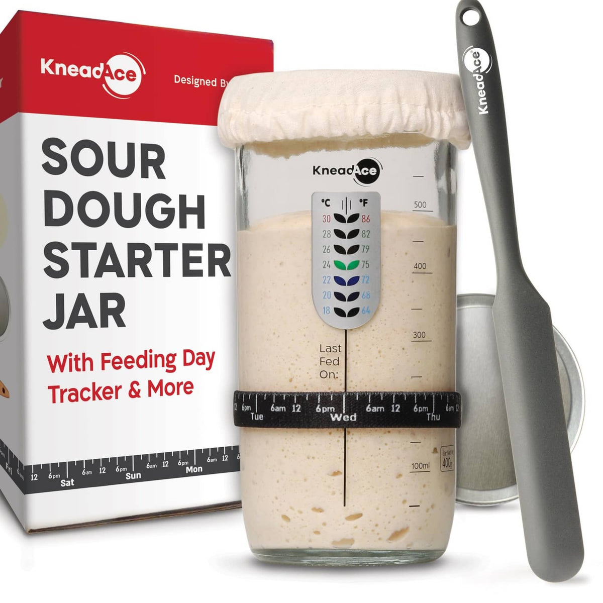 Sourdough starter jar with cloth cover and feeding day level tracker band