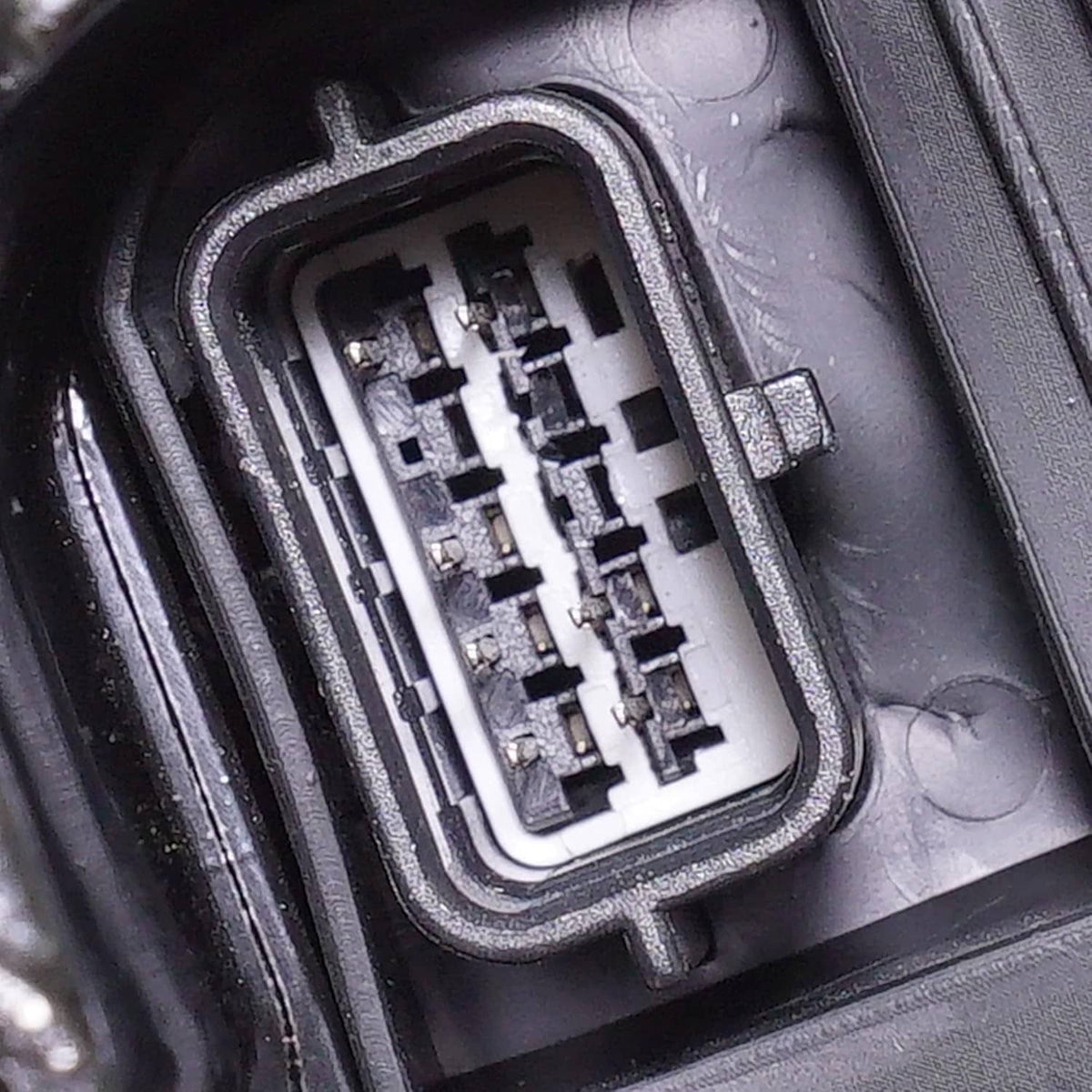 Close-up of rear mirror electrical connector inside sealed plastic housing
