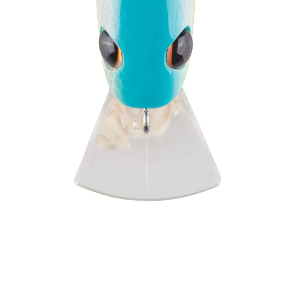 Blue crankbait lure face with dark eyes and front lip for freshwater fishing