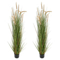 Artificial horsetail grass plants in black plastic pots, green stems with tan plumes