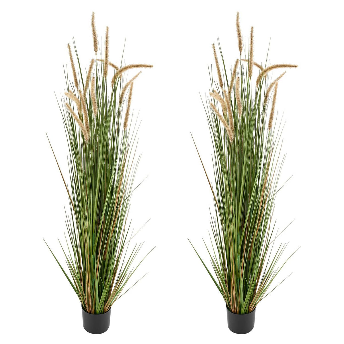 Artificial horsetail grass plants in black plastic pots, green stems with tan plumes