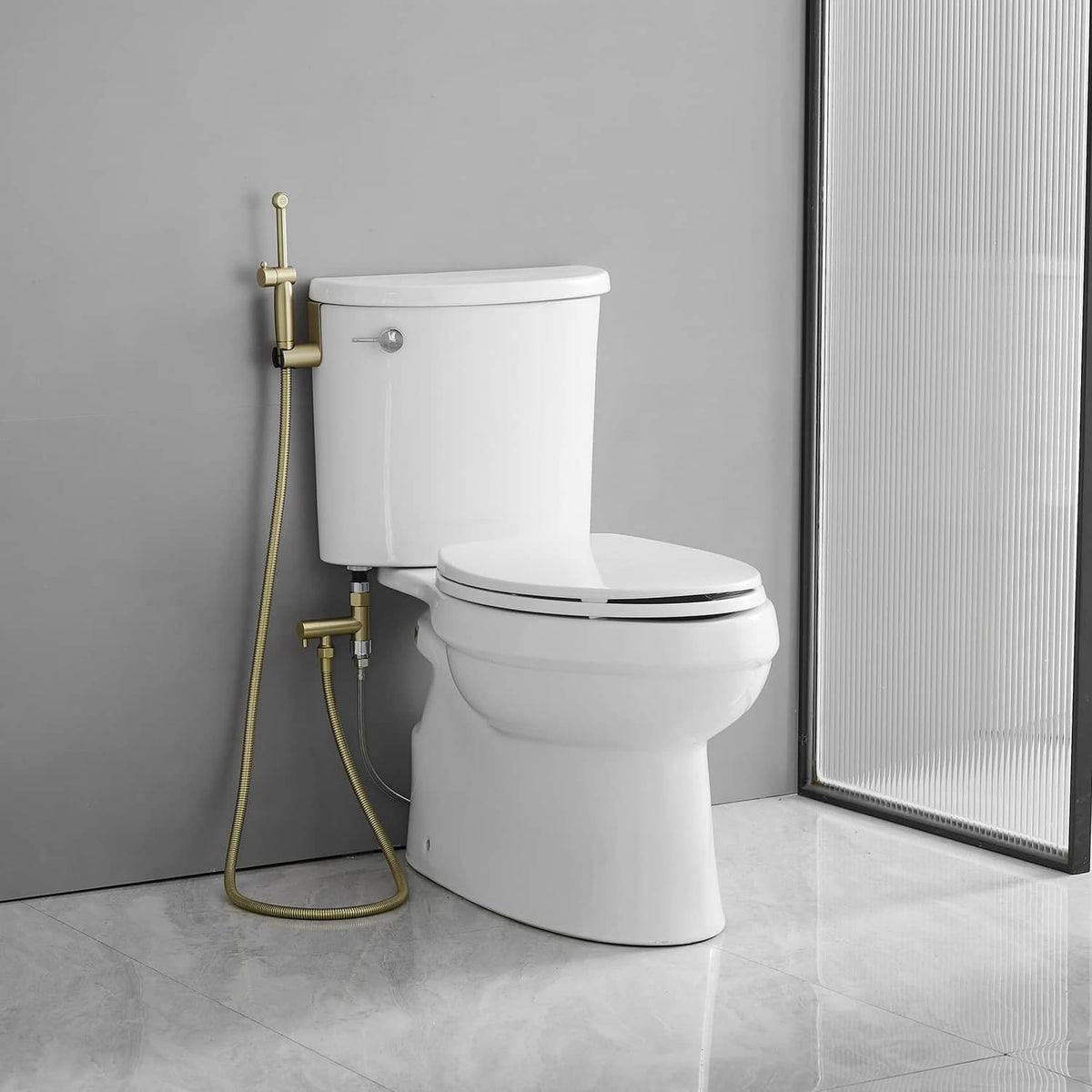 Brushed gold bidet sprayer with flexible hose connected to toilet tank and wall mount