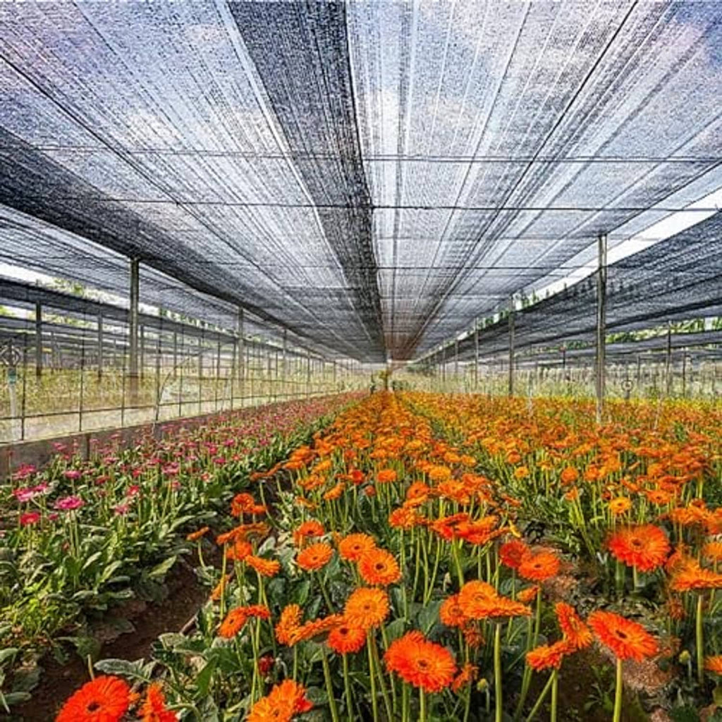 Black mesh shade cloth stretched over greenhouse walkway and flower rows