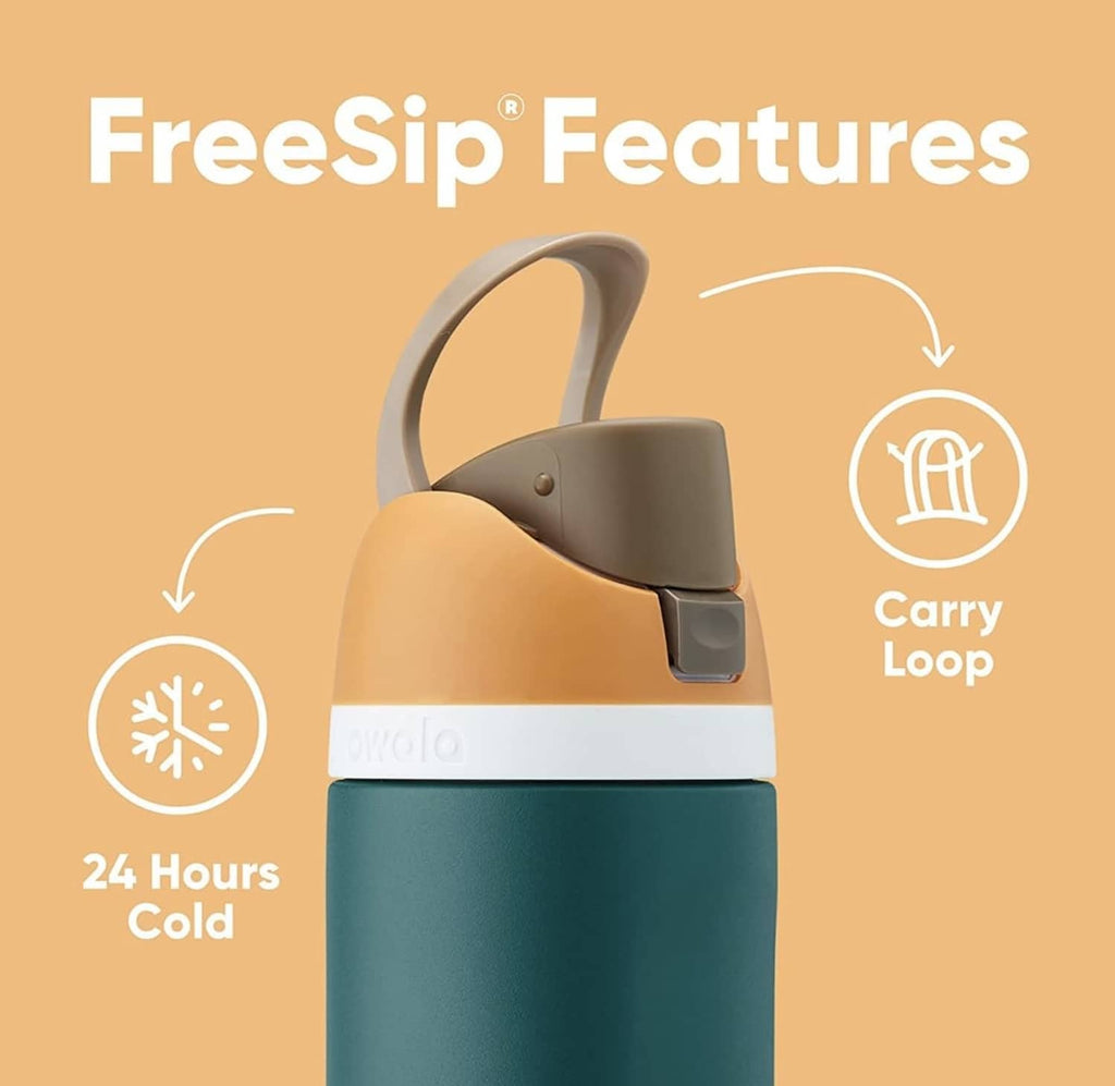 Insulated stainless steel water bottle with gray carry loop and flip-top spout