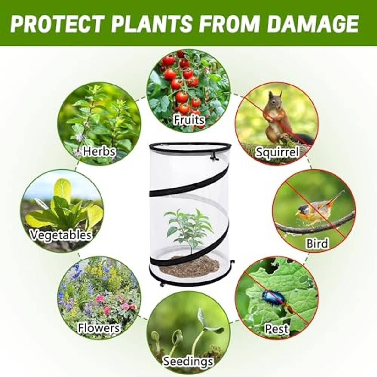 Round collapsible plant cover with black rim and clear insect net over soil