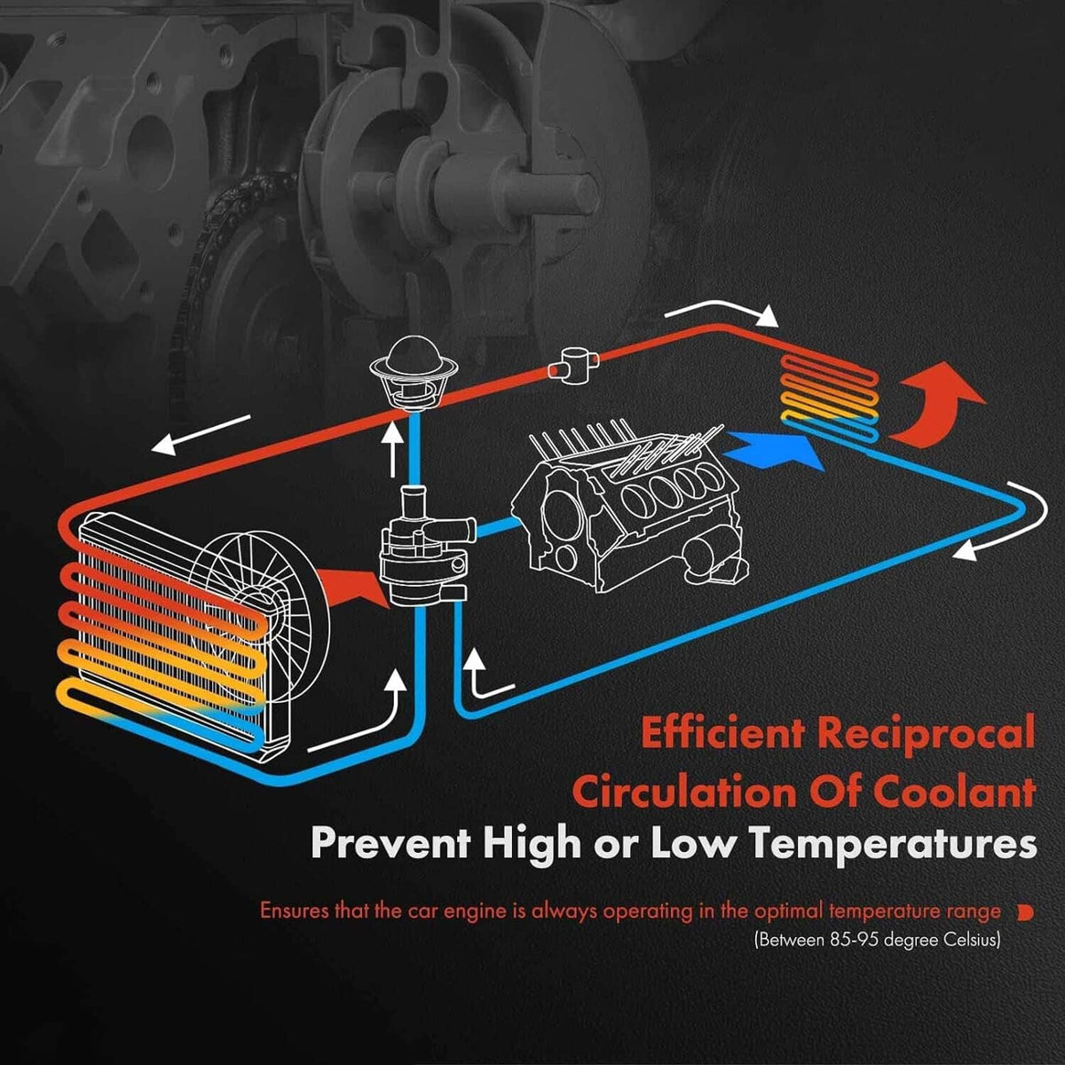 Engine cooling system illustration with water pump, hoses, and radiator