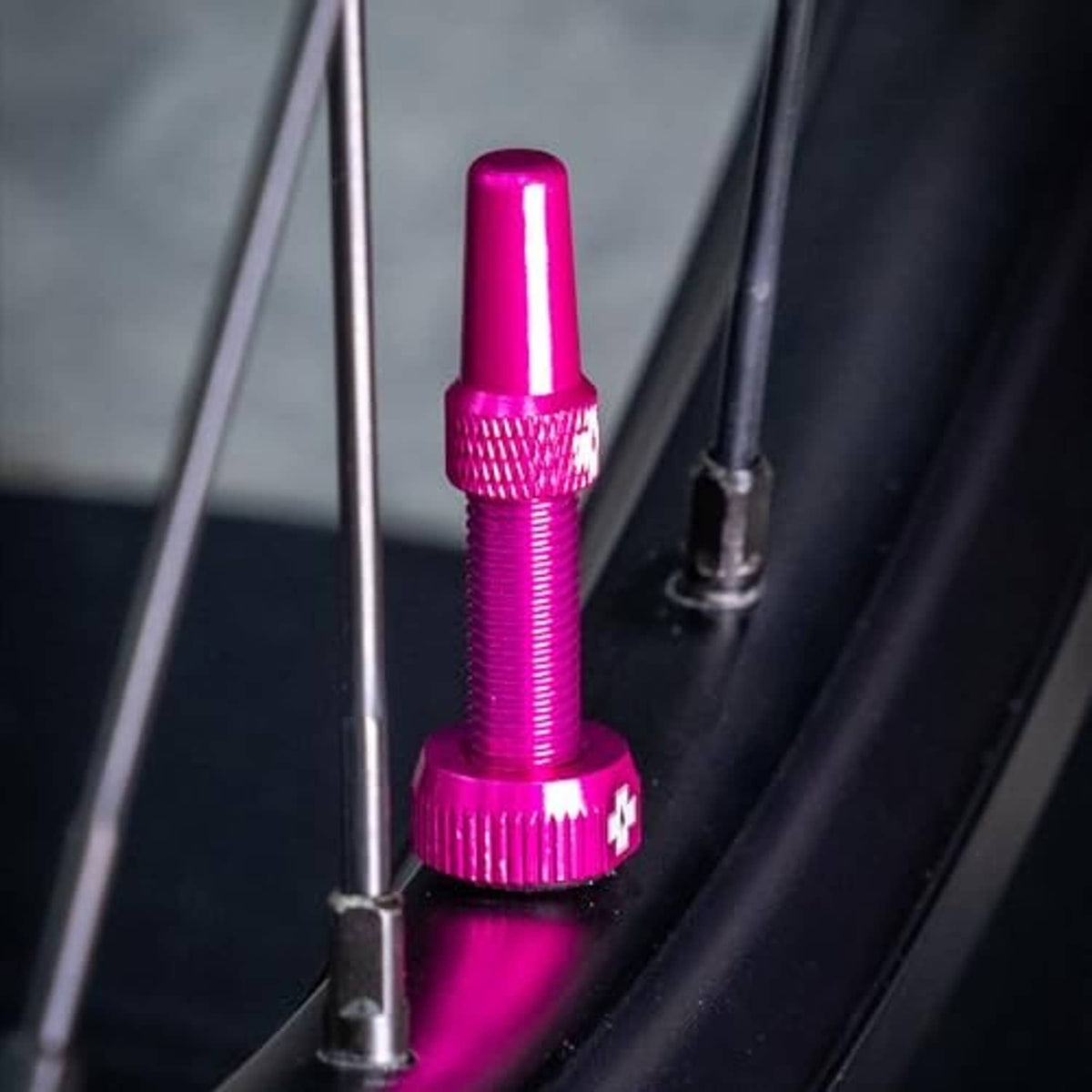 Pink aluminum Presta tubeless valve close-up with knurled collar on wheel rim