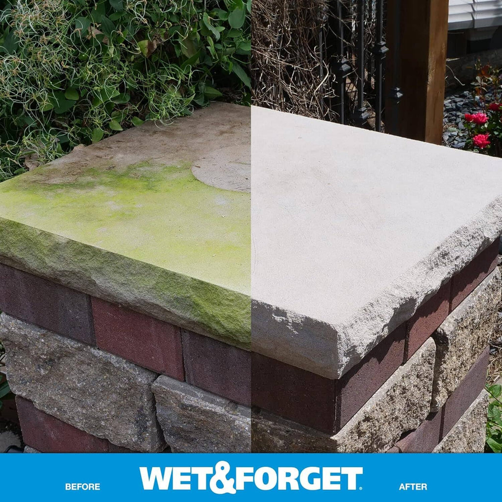 Stone step with green algae stains and a cleaned lighter top surface