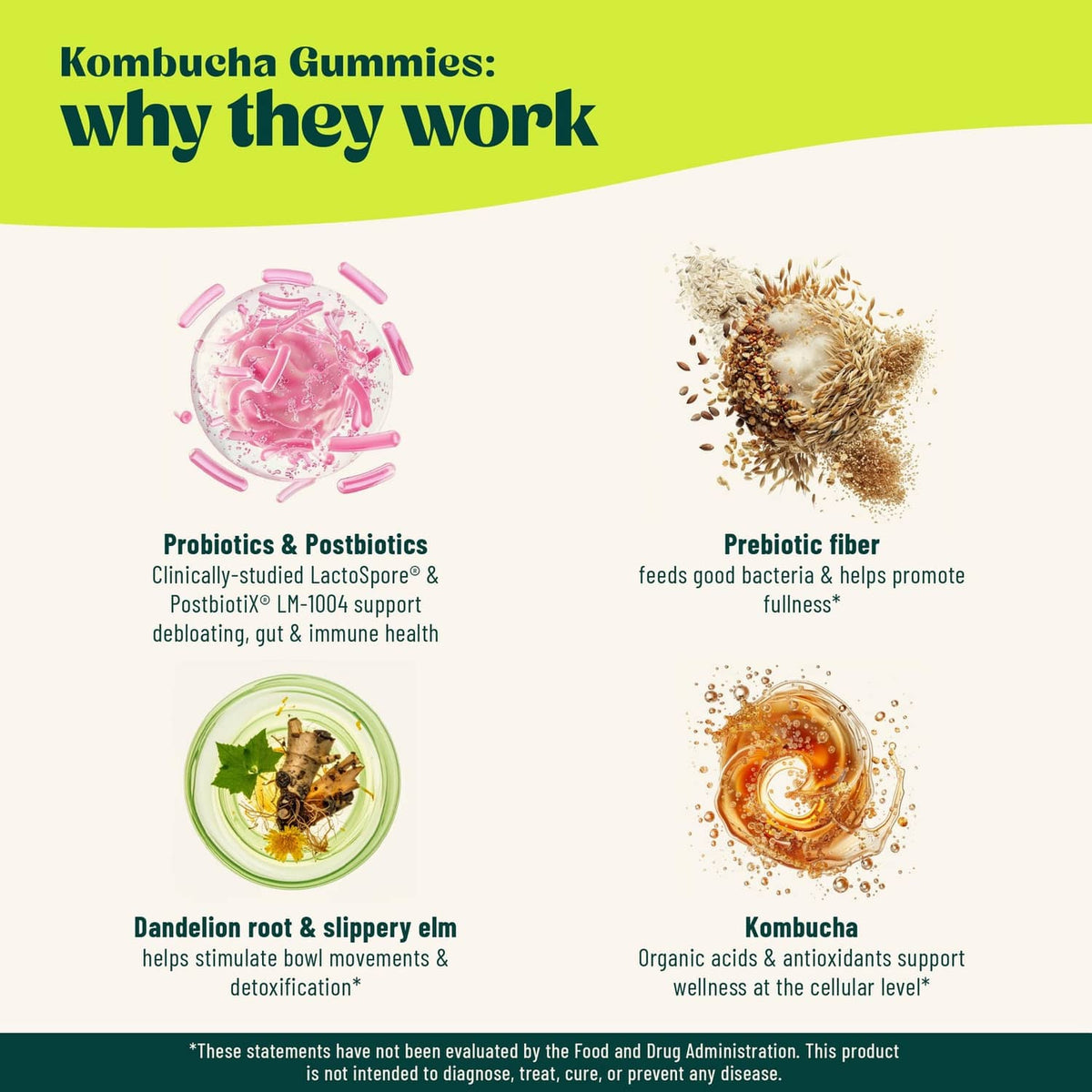 Kombucha gummy benefits infographic with probiotic and prebiotic ingredient illustrations