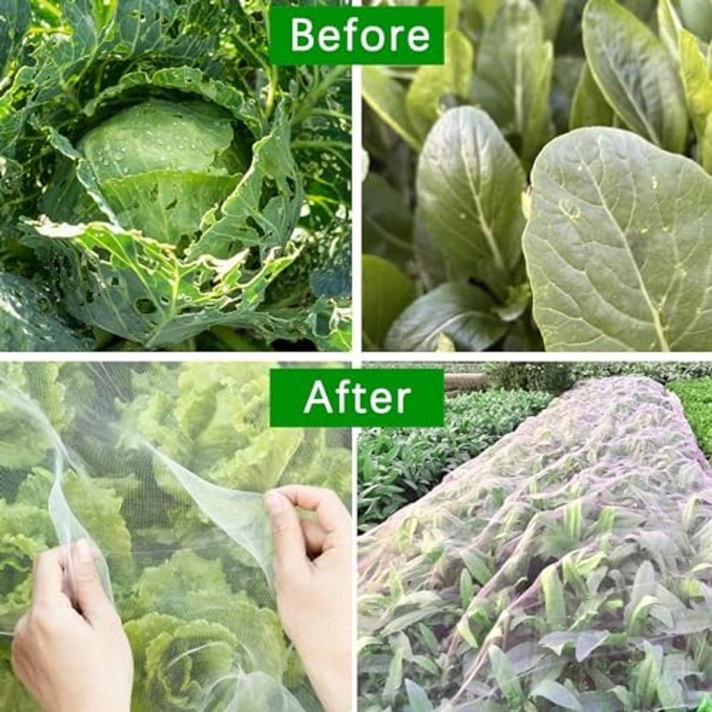 White garden insect netting covering leafy plants, before-and-after comparison