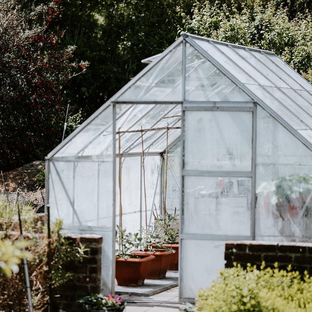 Clear plastic-covered greenhouse with metal frame and open door