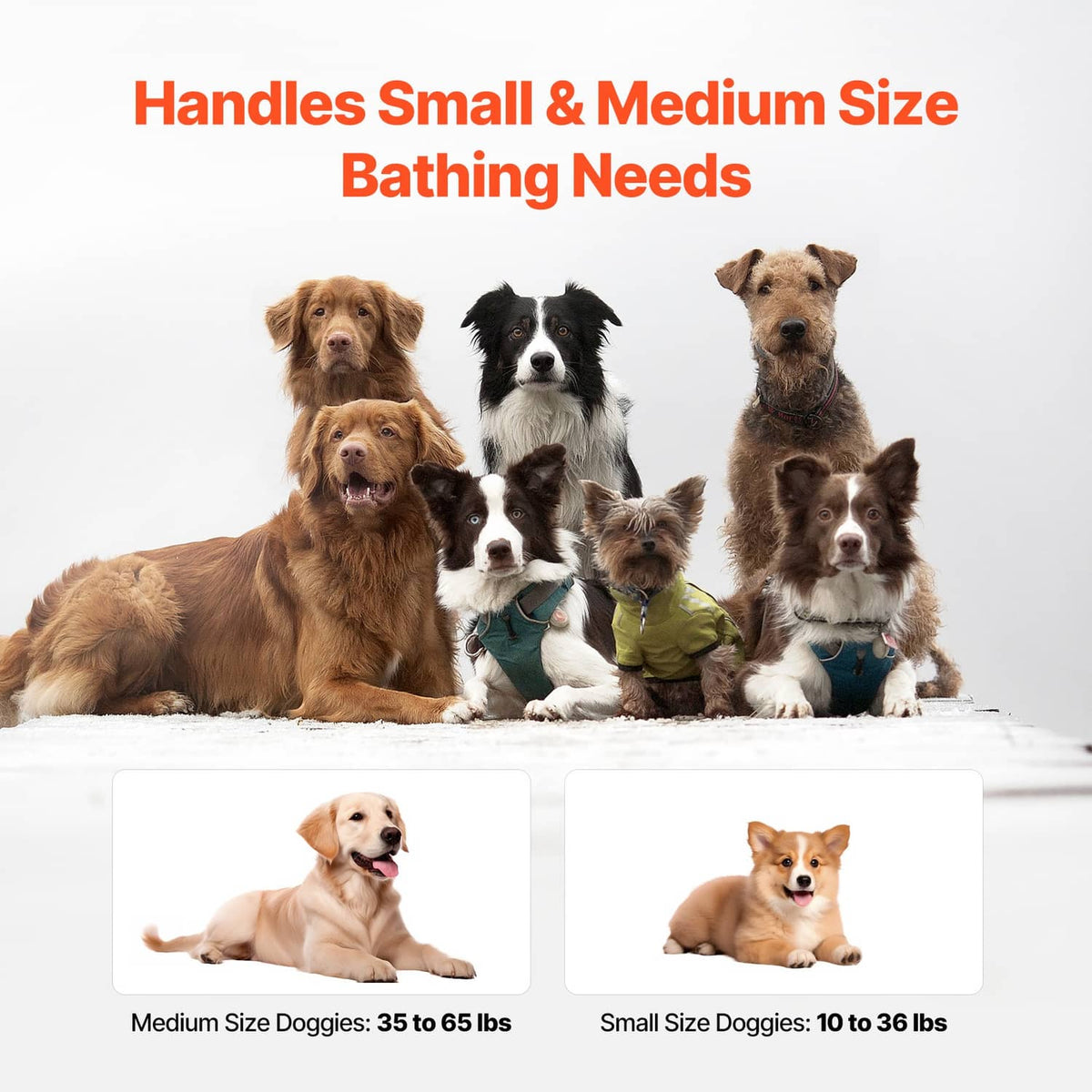 Dogs shown to indicate compatible pet sizes for a bath tub with handles
