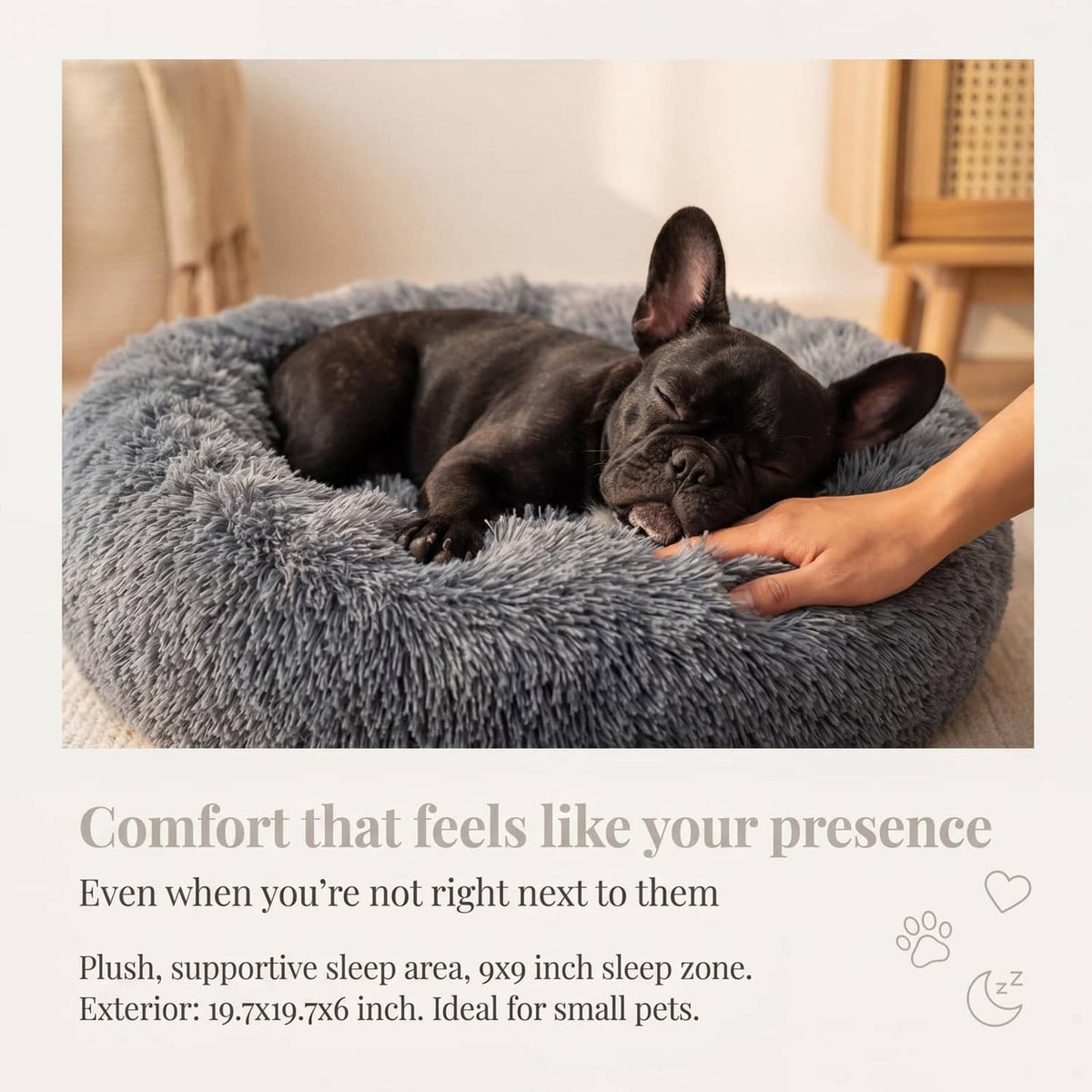 Dark grey round plush dog bed, small dog resting while a hand adjusts the rim.