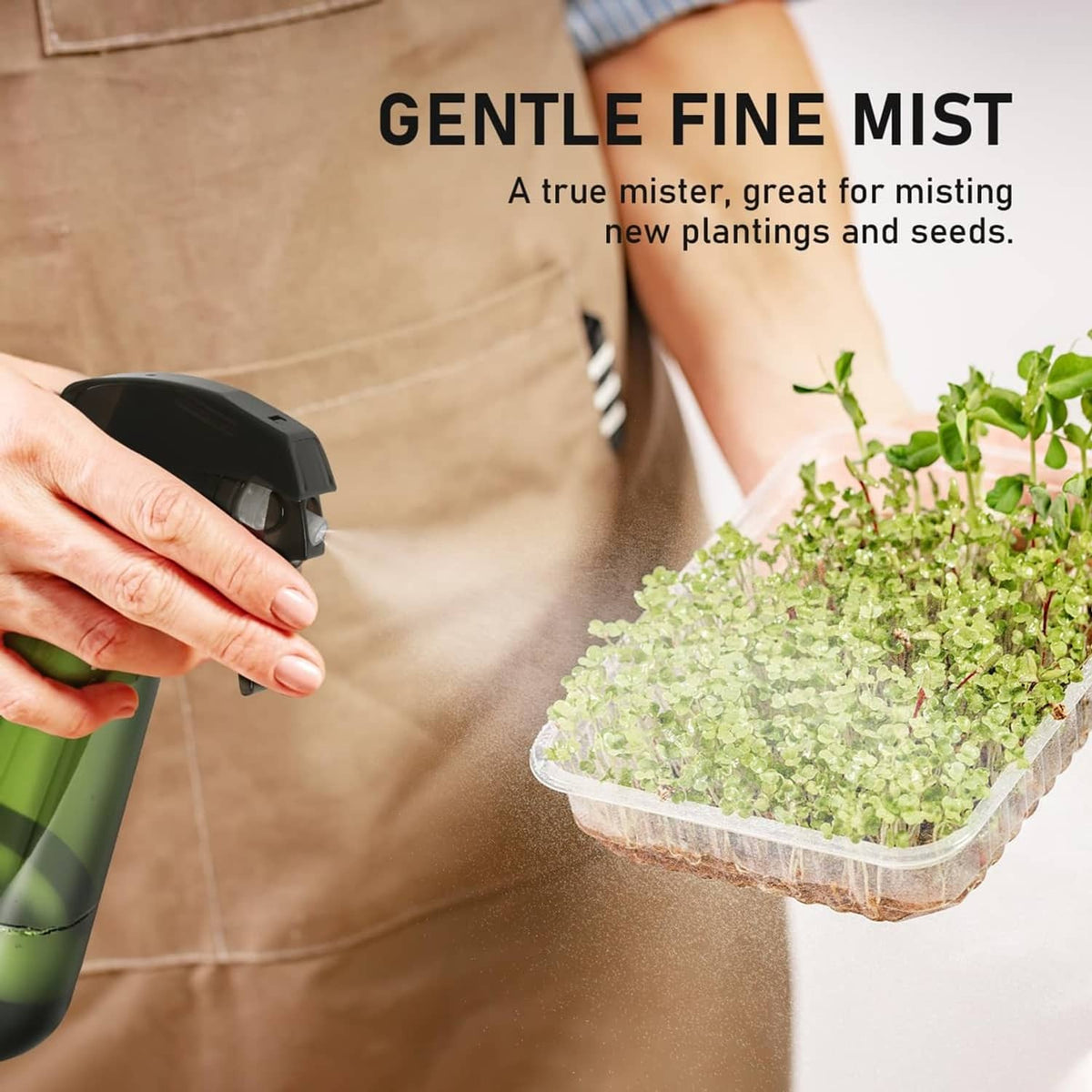 Green plant mister being used to mist seedlings in a clear seed tray