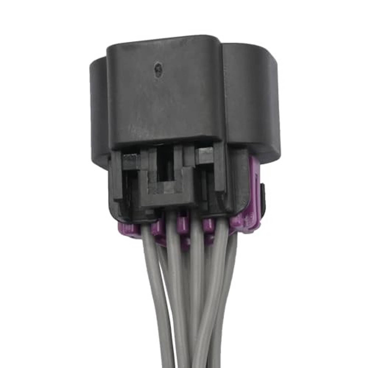 Rear view of throttle actuator connector with gray housing, purple pin block, and wire leads