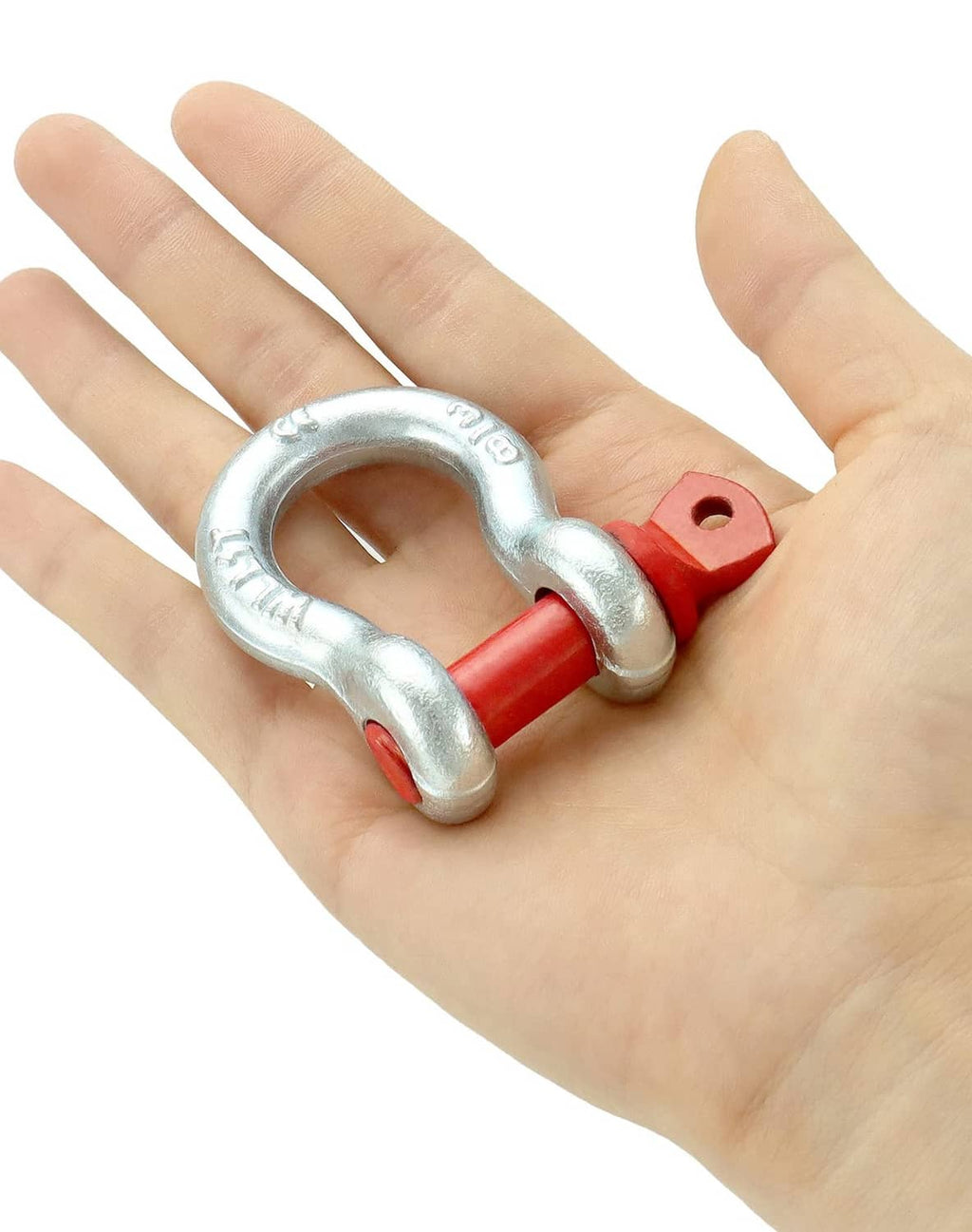 Galvanized screw pin D-ring shackle with red pin held in a hand