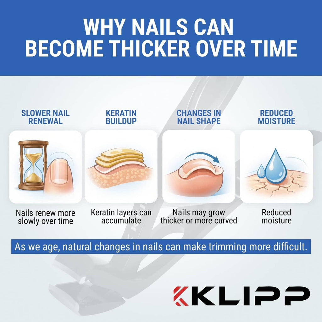 Infographic about why nails thicken over time, featuring KLIPP branding