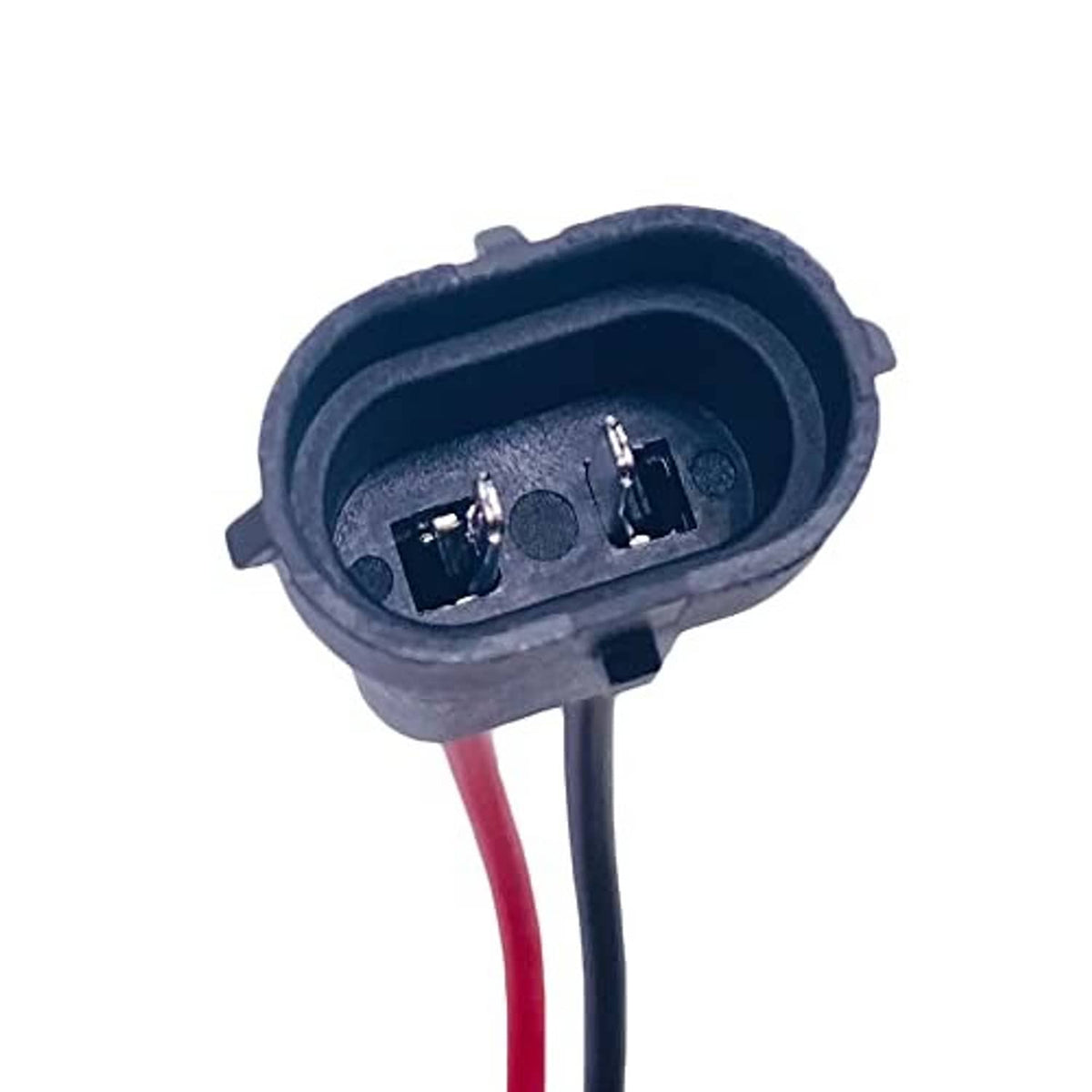 Close-up of headlight pigtail male socket interior with metal contacts and red/blue leads