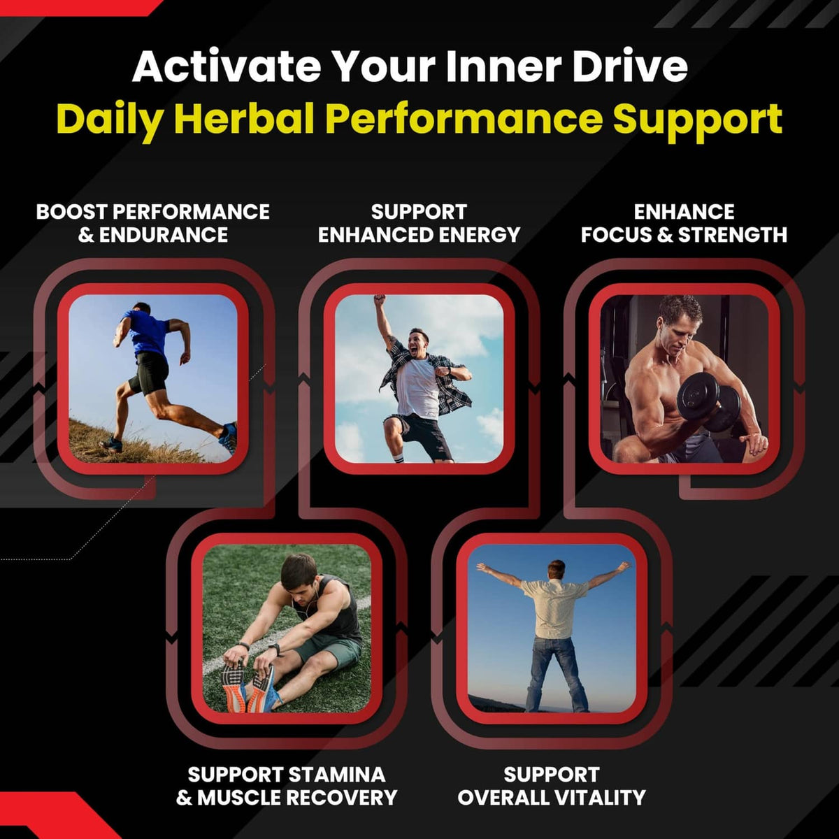 Horny goat weed with maca root daily performance support infographic with activity icons