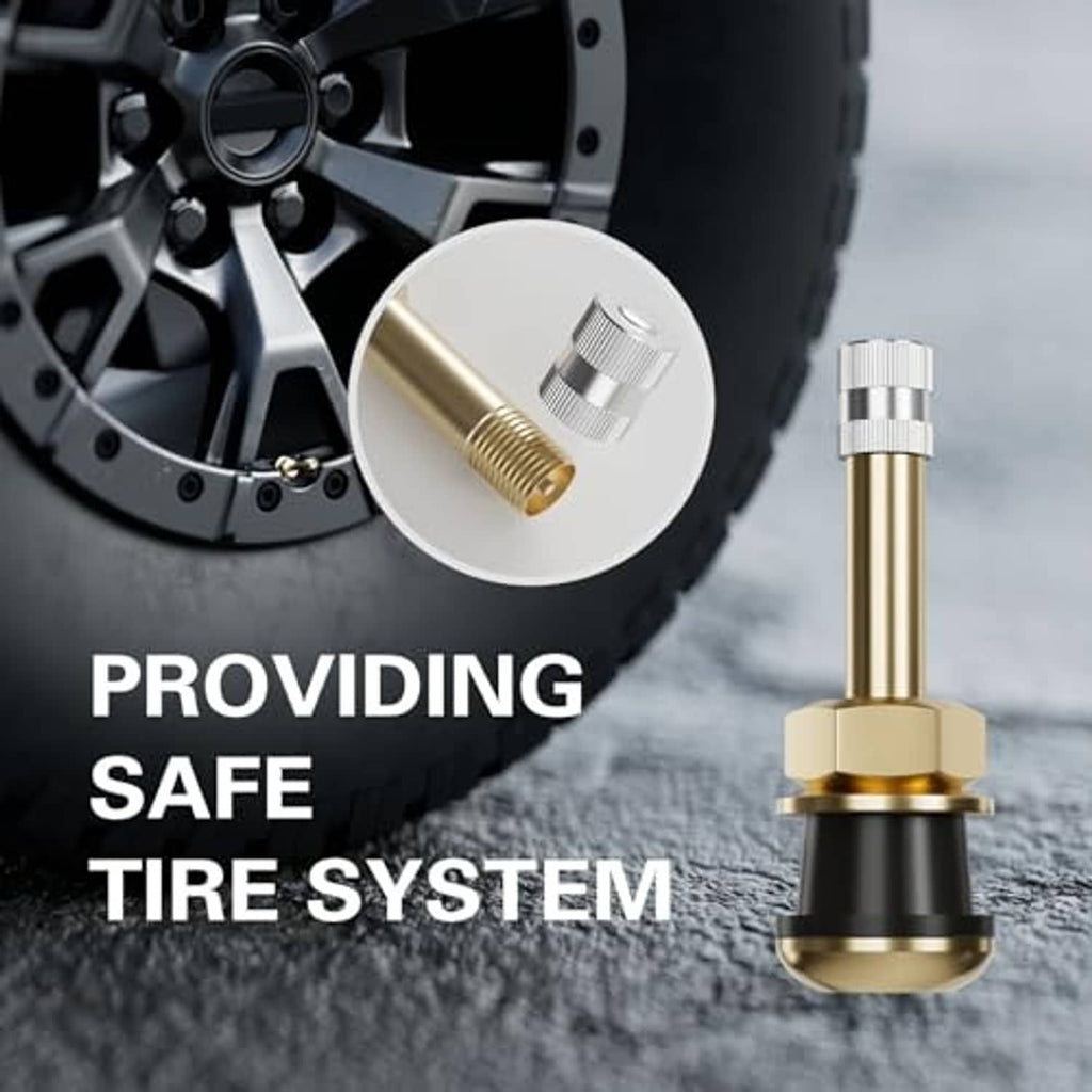 Clamp-in tire valve stem installed on a wheel, showing brass stem and silver top